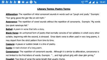 Literary Terms Definitions and Examples Poster