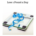 Lose 1 Pound a Day