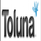 Make Money  Toluna icône