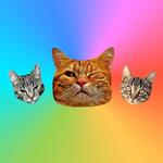 Matching APK