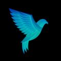 ”Unofficial telegram plus