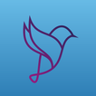 Plus messenger