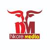 NKORE MEDIA TV APK