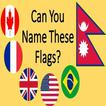 Name the Flag Quiz 2018-icoon