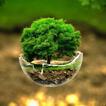 Nature Walpaper أيقونة
