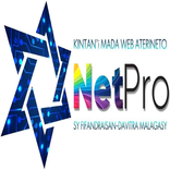 NetPro Animated Logo
