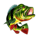 encontre os peixes APK