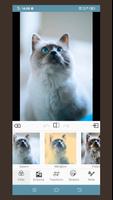 PIC - Photo Editing App capture d'écran 2