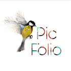 Pic Folio-icoon