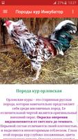 Породы кур - Инкубатор Plakat