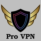 Pro Secure Vpn