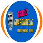 Radio guapondelig icon