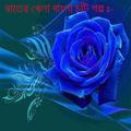 Rater Khela