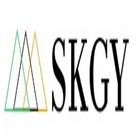 SKGY Audit Consulting Tax and Advisory Services icône