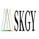 SKGY Audit Consulting Tax and Advisory Services aplikacja