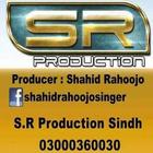 SR Production Sindh icône