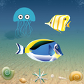 Sea Fishing