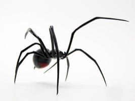 Spiders Wallpapers HD 포스터