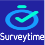Surveytime icône