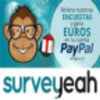 SurveyYeah icon