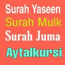 Surah Yaseen Surah Mulk Surah Juma Aytalkursi App. APK