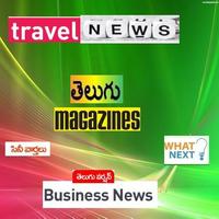Telugu Live TV Channels Free capture d'écran 2