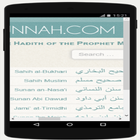 The Hadith of the Prophet Muhammad at fingertips icône