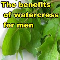 The benefits of watercress for men Affiche