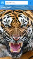 Tiger Browser ảnh chụp màn hình 3