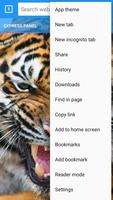 برنامه‌نما Tiger Browser عکس از صفحه