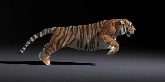 ดาวน์โหลด Tiger Run APK สำหรับ Android ดาวน์โหลด Tiger Run APK สำหรับ Android