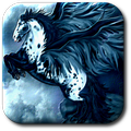 Top Breeding Horses