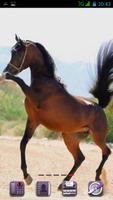 Top Breeding Horses capture d'écran 3