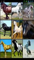 Top Breeding Horses capture d'écran 2