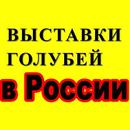 Выставки голубей. Голуби APK