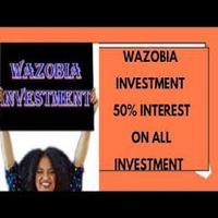 Wazobia Investment Affiche