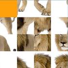 Wild Animal Puzzle-icoon