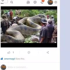 social site APK download