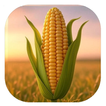 Walls Corn Papers icon