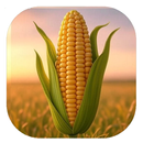 Walls Corn Papers APK