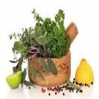 دیسی علاج طب ícone