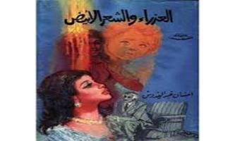 العذراء و الشعر الابيض โปสเตอร์