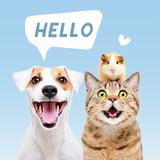 Pets Translator: Dog & Cat