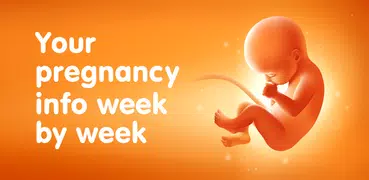 懷孕日記 - 每週孕期追踪程式