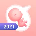 Pregnancy