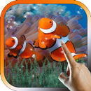 Clown Fish in Water Live Wallpaper Aquarium Theme APK