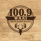 Classic Country أيقونة