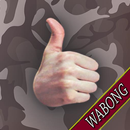 EAWS Enlisted Aviation Warfare APK