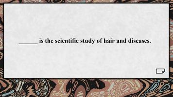 Hairdresser - Hair Stylist Ful poster