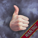 Learn Meteorology Full APK